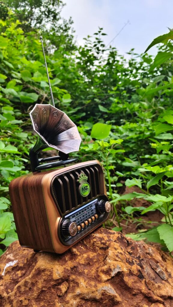 bluetooth radio speaker